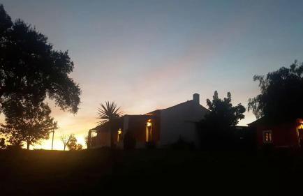 Herdade Reguenguinho - Foto 30