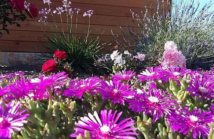 Agriturismo Valiana - Foto 23