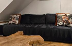 Appartement atypique au cœur de Sallanches - Foto 12