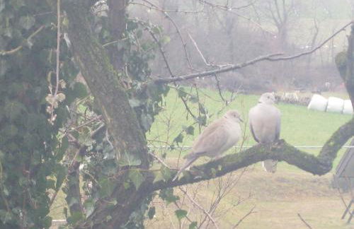 Agriturismo Campagnoletto - Foto 57