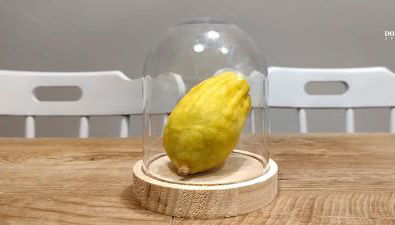 Domus Cedri Apartment - Photo 4