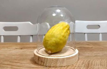 Domus Cedri Apartment - Foto 4