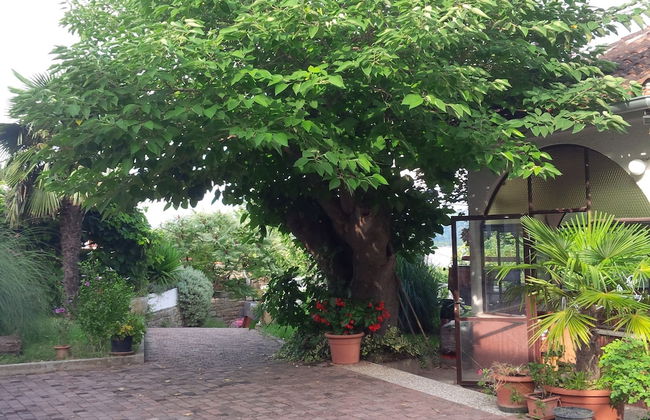 Soncne Terase - Foto 70