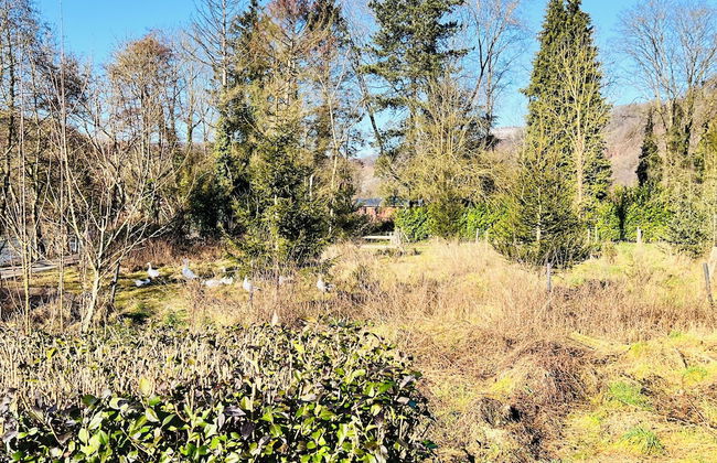 Maison proche rivière avec jardin - Foto 32