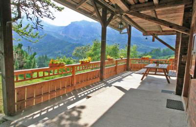 Les Jonquilles - Foto 14