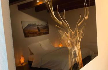 Le Terrier du Katz - Photo 24