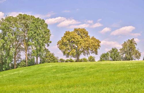 Ferienwohnung Veronika - Foto 27