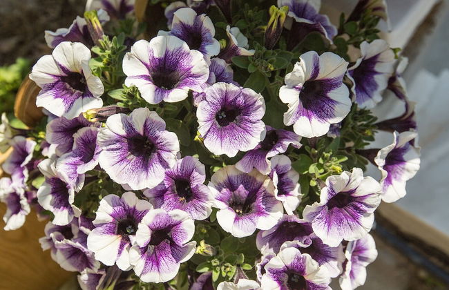 Splendid Views from a Cozy Cottage with a Garden Terrace - Foto 40