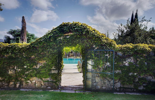 Tenuta Sant'Andrea - Foto 38