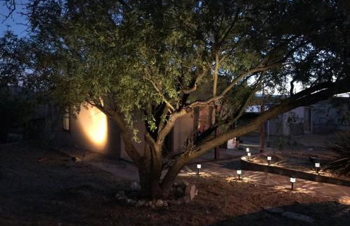 1900s Miner's cabin behind Tombstone Brewery - Foto 62