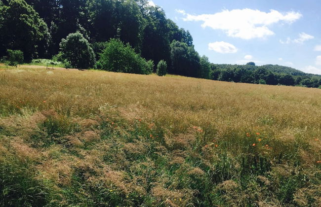 Vintage Holiday Home With Private Terrace - Foto 34