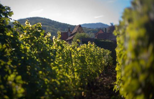 Appartement Jeanne - Foto 14