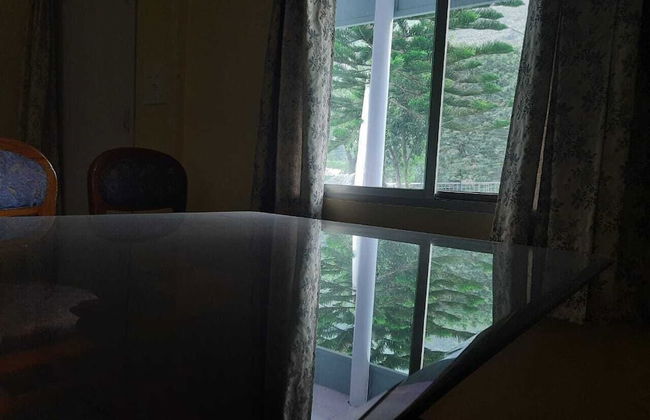 Rahul Homestay - Foto 22