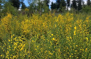 Haus Astenblick in Winterberg für bis zu 35 Personen für Wanderveranstaltungen und Familienfeiern - Foto 26