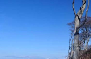 Große Freiheit - Foto 17