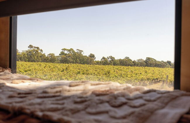 CABN McLaren Vale - Foto 16