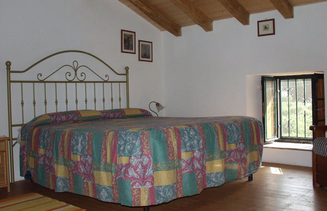 Codavolpe Giardino di Tea - Foto 7