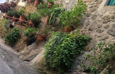 Gata Maitea- Apartamento Aita- Sierra Gata - Foto 20