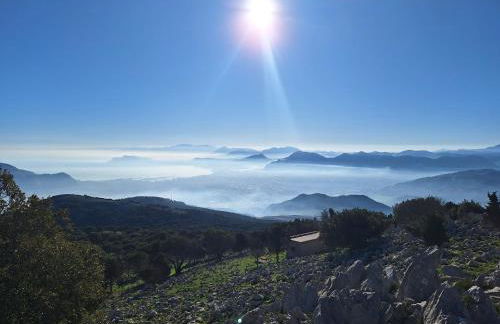 Duplex House - Foto 30