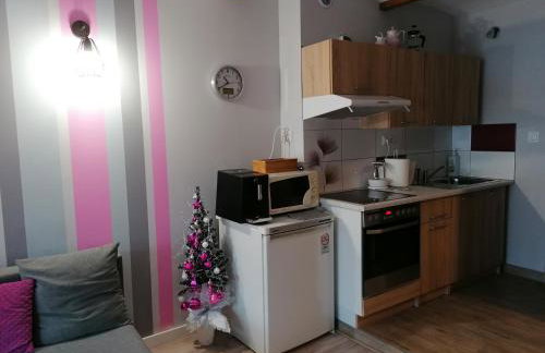 Apartament Grosik - Foto 14