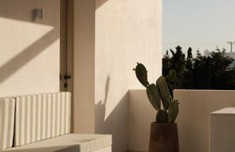 Mazi Paros - Photo 1
