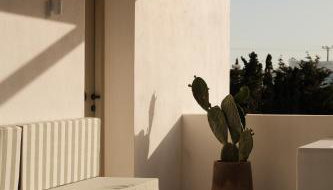 Mazi Paros - Photo 1