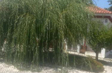 Casa do Jardim - Foto 9