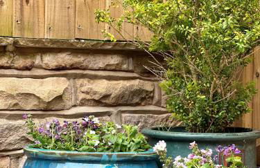 Cedar Retreat Whitby - Foto 12