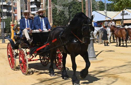 Bienvenidos a San Miguel - Foto 46