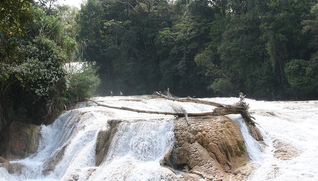 Agua Azul, Misolha and Palenque Archeologic Zone - In Spanish - Photo 5