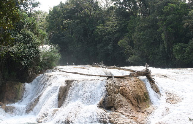 Agua Azul, Misol-Há und die archäologische Zone von Palenque - Auf Spanisch - Foto 5