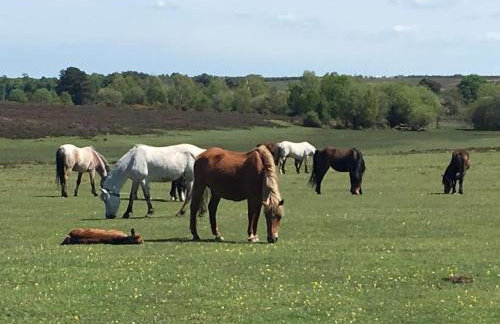 The Stables - 2 bed with large garden and hot tub. - Foto 57