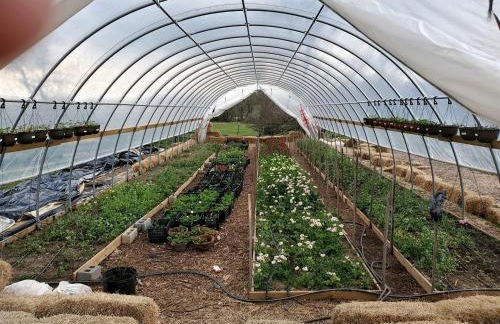 Sweet Chic Farm Cottage with Pool, Hot-Tub and Beautiful Sunsets in Maryland - Foto 36