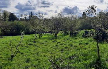 Longère Belle-Isle en terre - Foto 6