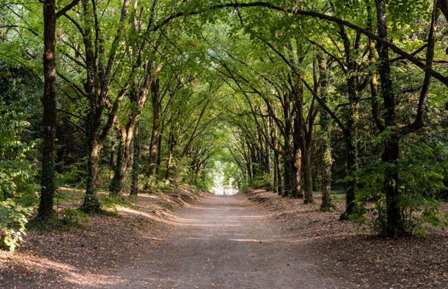 Holiday Home Near Lake and Leisure in Clos du Bannet - Photo 28