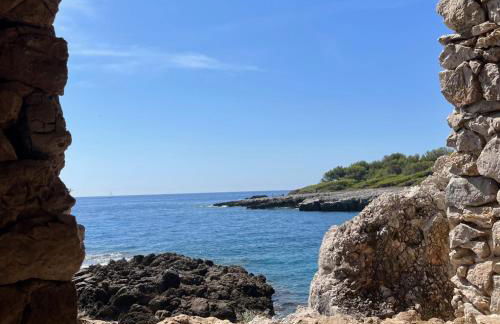 Top Floor Secret Garden, Cannes - Foto 25