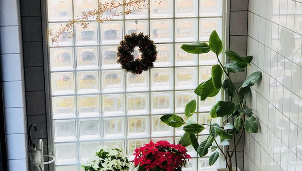 FC House Shibuya No.1 - Foto 2, Entrada interior