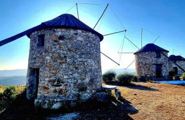 Quinta do Cabril - Foto 23
