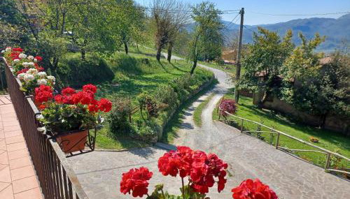 Appartamento DANIELA - Foto 5, Garden view