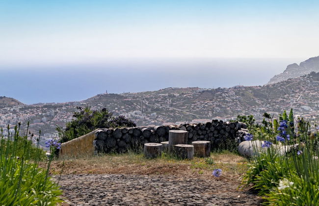 Quinta Devónia - Foto 23