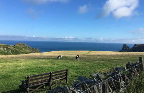 Bossiney Cove Cottage - Foto 44