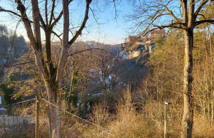 Landliebe Ferienwohnung - Photo 63