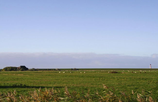 Apartment, Garding - Foto 48