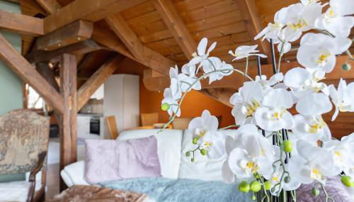 Dachgeschoss Adlerhorst - Foto 4