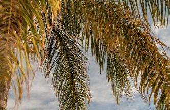 Las Villas Olivencia Natural - Foto 30