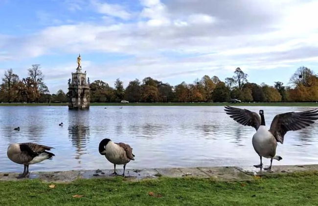 Comfy Kingston Central Garden House & Free Parking - Foto 47