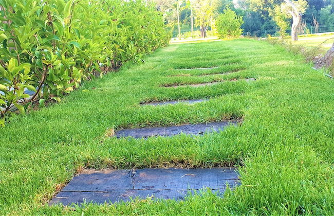 Bodrum Yoga Suites - Foto 24