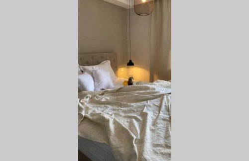 Villa Stanzietta Novigrad for 10 at Olive orchard - Foto 19