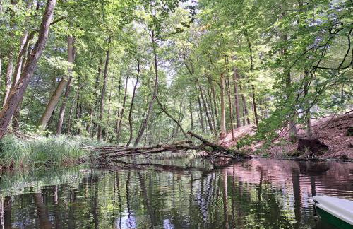 Domek letniskowy Nad Mrowinkiem - Foto 42