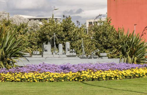 Sanderling - Foto 21